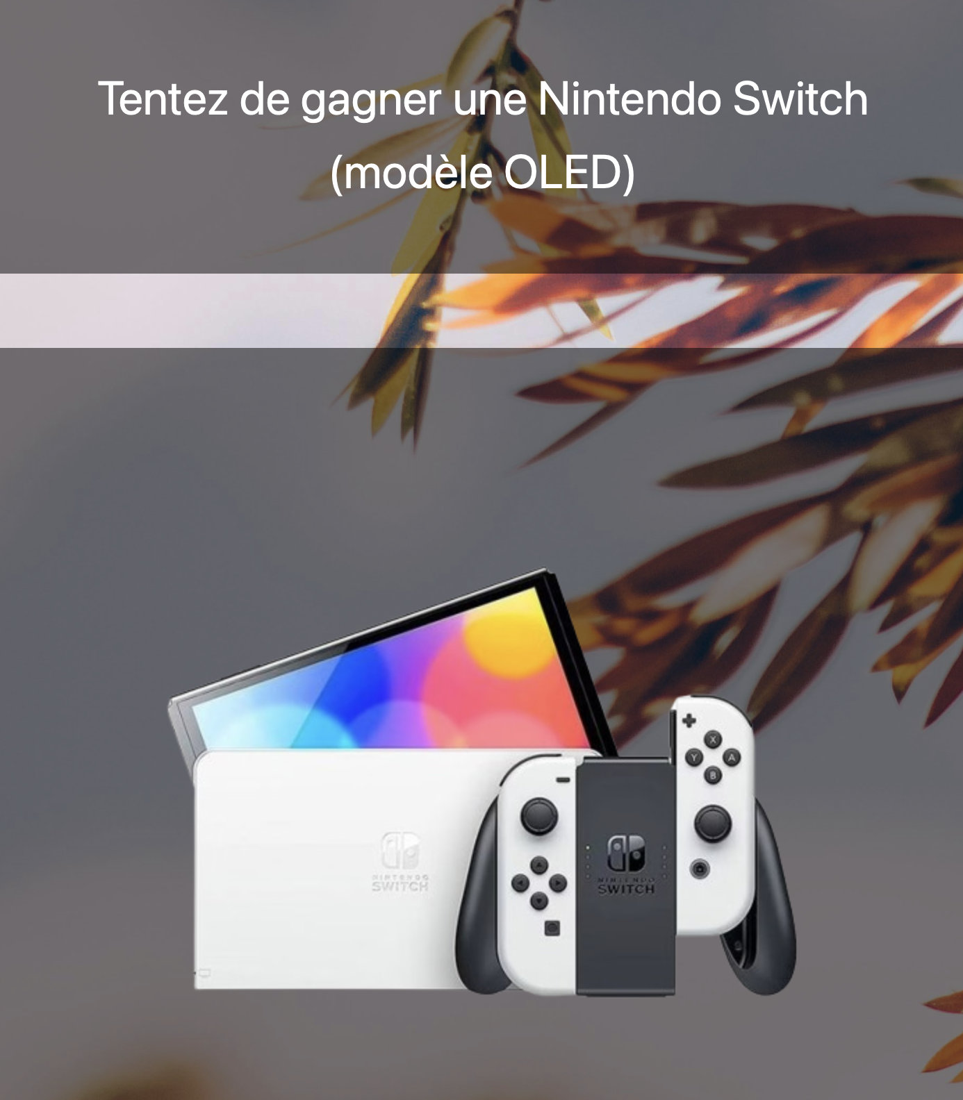 Illustration — 1 console Nintendo Switch OLED